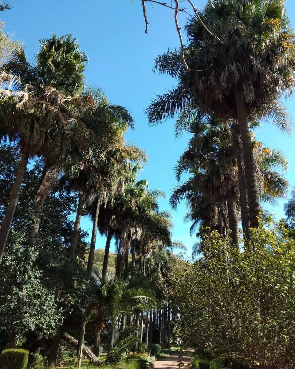 Jardin d’Essais Jardin d’Essais