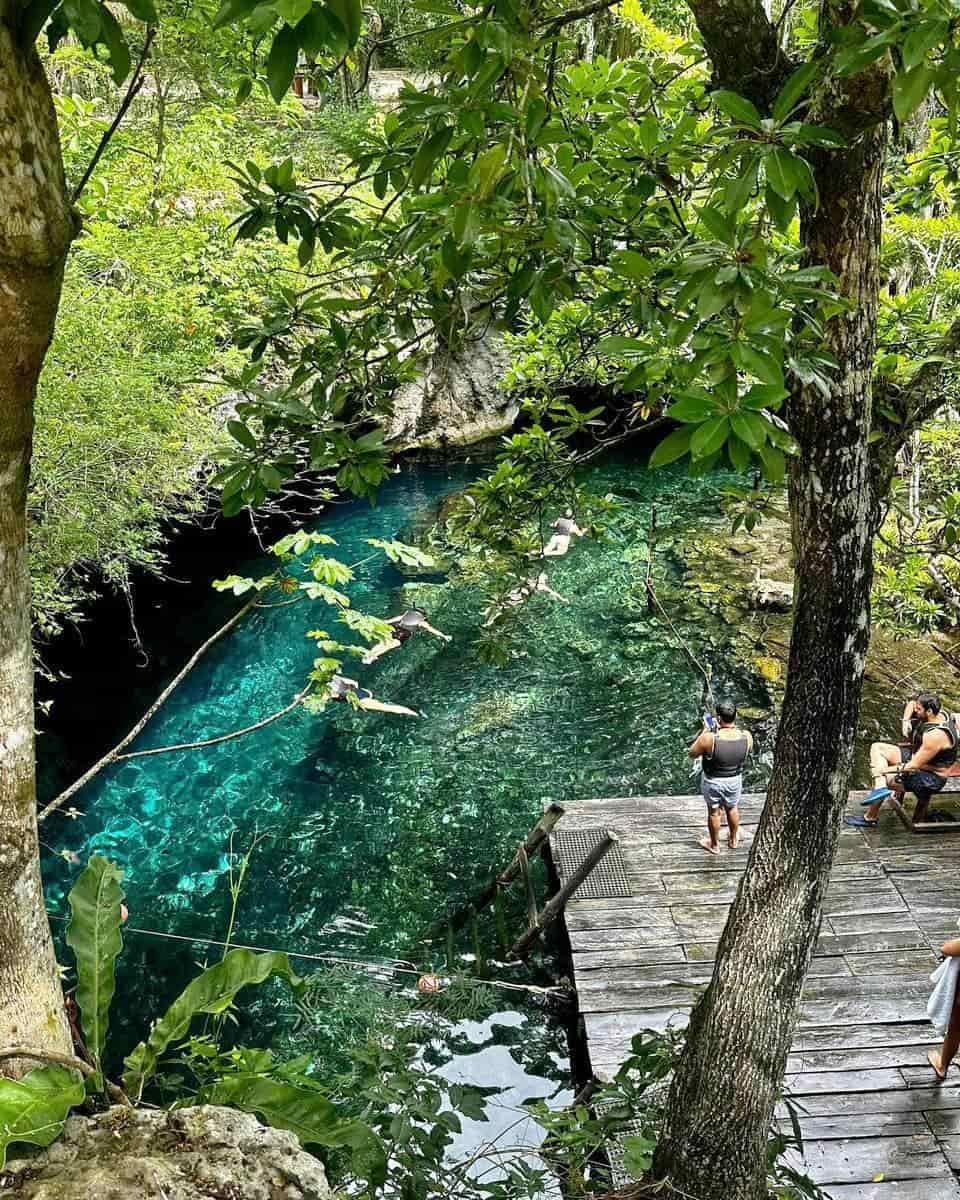 Gran Cenote,Tulum Gran Cenote,Tulum