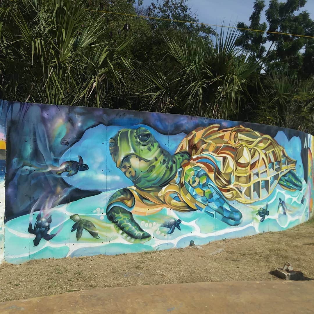 Museo de la Tortuga, Isla Mujeres Museo de la Tortuga, Isla Mujeres