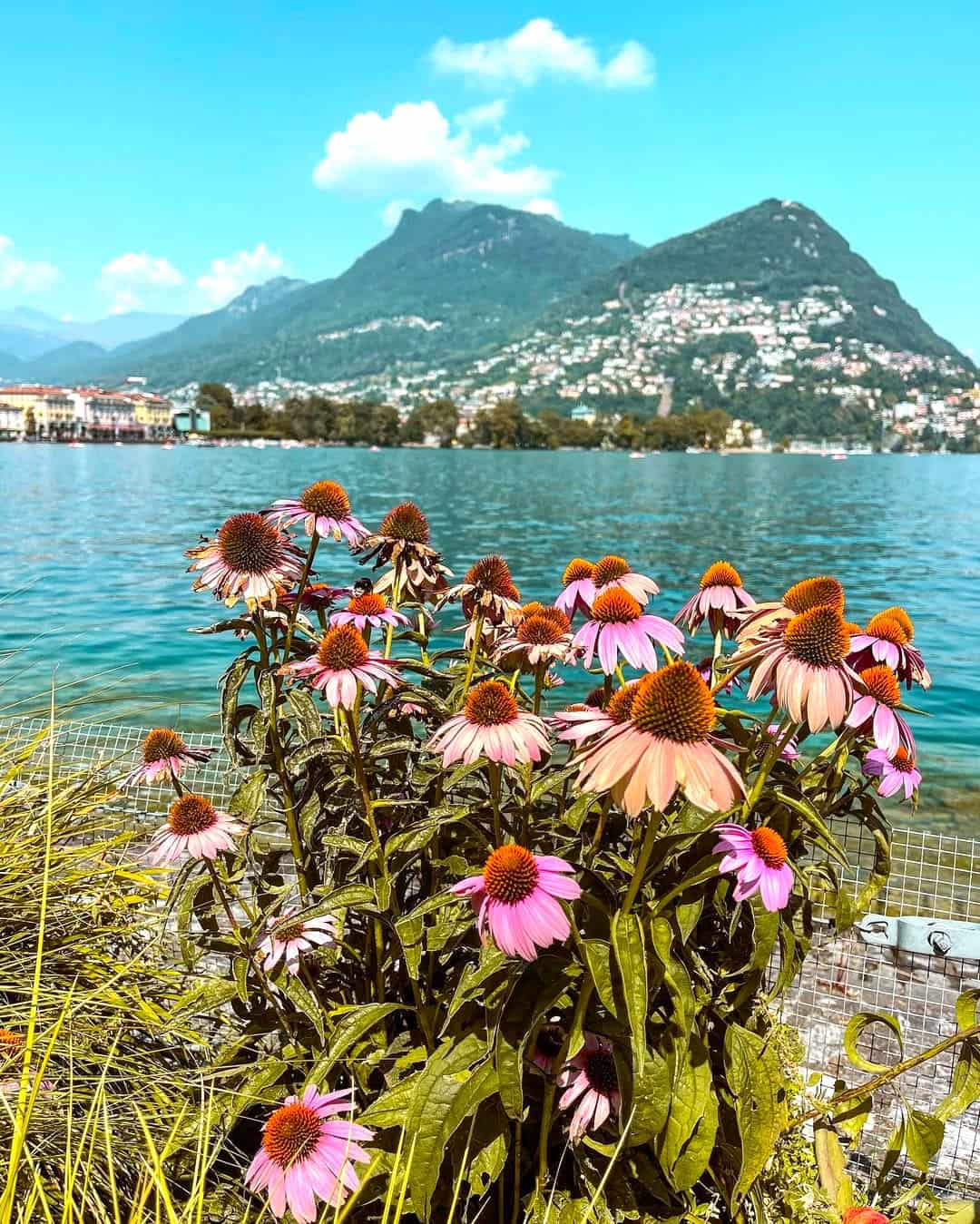 Paradiso, Lugano Paradiso, Lugano