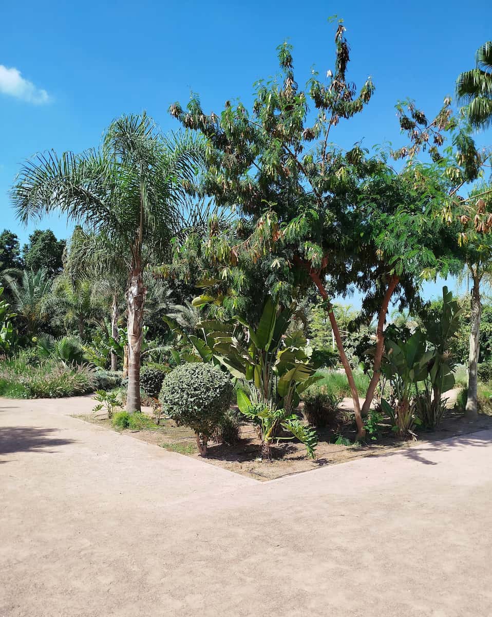 Salam District, Algadir Salam District, Algadir