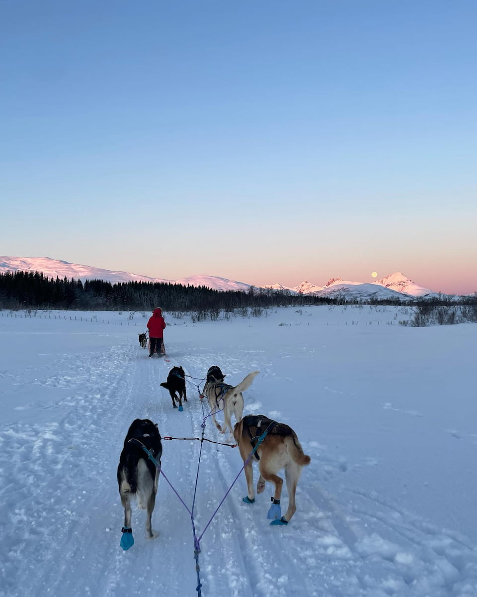 Wilderness Areas, Rovaniemi Wilderness Areas, Rovaniemi