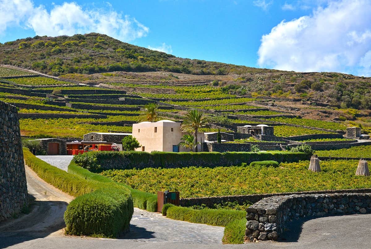 Mursia & Cossyra, Pantelleria